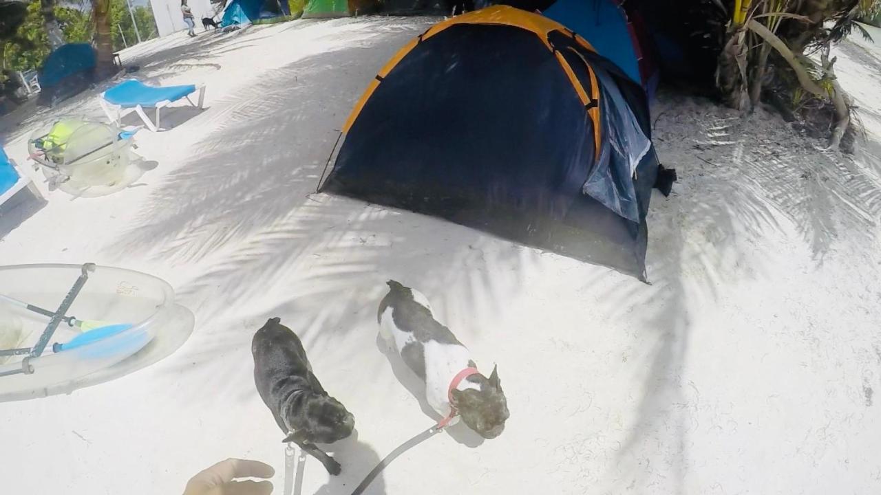Camping Lunas Bar Mahahual Eksteriør bilde