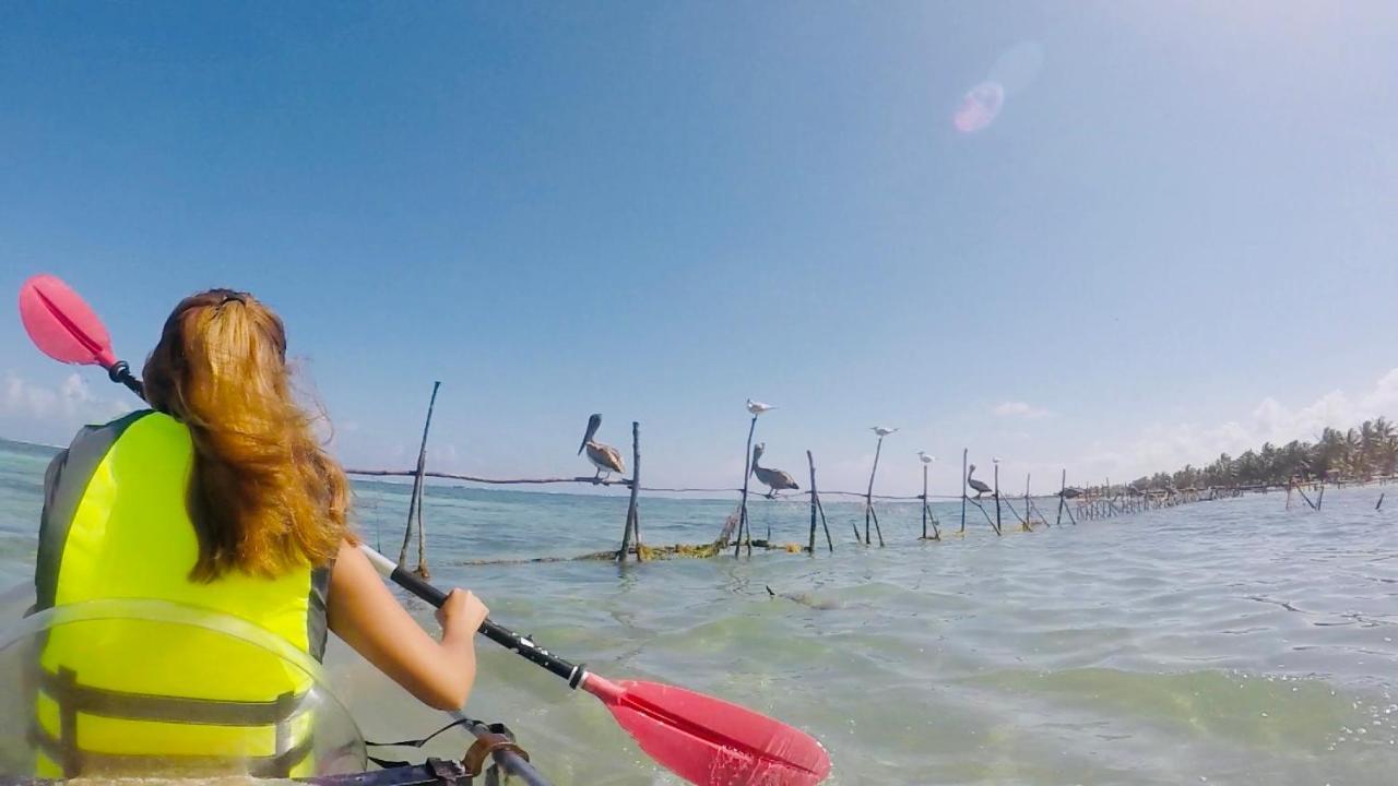 Camping Lunas Bar Mahahual Eksteriør bilde